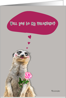 Will you be my Valentine? dreamy female meerkat holding rose card