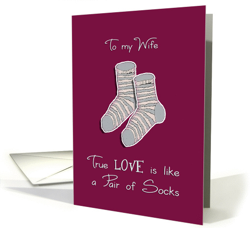 To my Wife, Happy Valentine's Day, I love you card (891751)