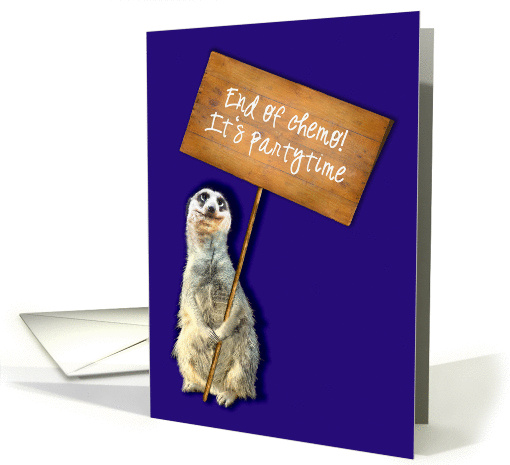 end of chemo, it's party time, you are invited, cute meerkat card