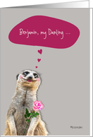 Happy Valentine’s Day, customizable love & romance card, cute meerkat card