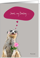 Happy Valentine’s Day, customizable love & romance card, cute meerkat card