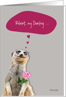 Happy Valentine’s Day, customizable love & romance card, cute meerkat card