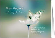 With deepest Sympathy on the loss of your Granddaughter, butterfly card