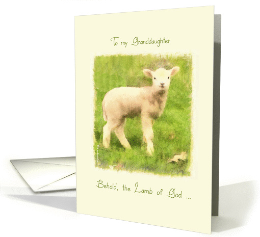 to my Granddaughter, lamb of God, Christian Easter card,... (908241)