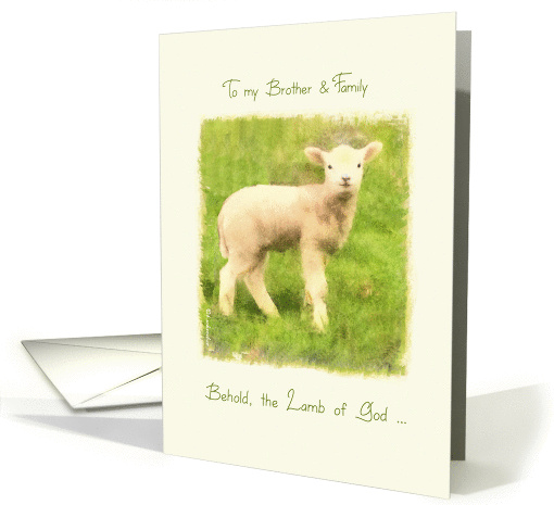 to my Brother & his Family, Christian Easter card, John 1:29 card