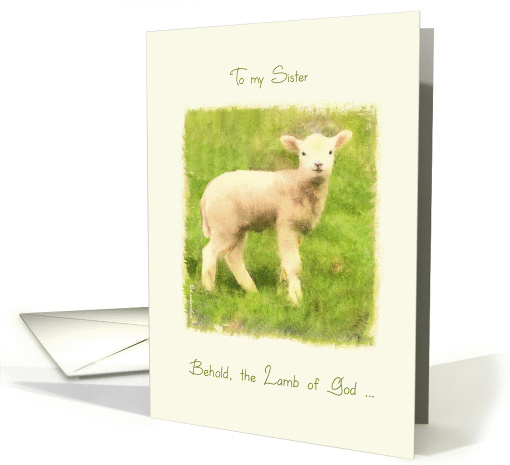 to my Sister, Christian Easter card, John 1:29, lamb card (909198)