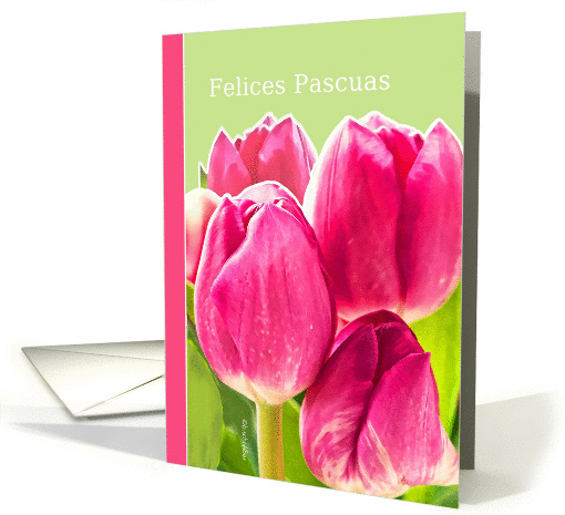 Felices Pascuas, Spanish Happy Easter card, pink tulips card (910278)