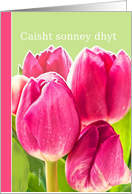 Caisht sonney dhyt, Manx Happy Easter card, pink tulips card