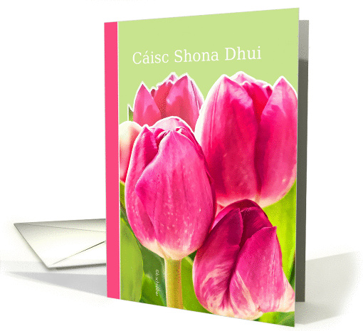 Cisc Shona Dhui, Irish Gaelic Happy Easter card, pink tulips card