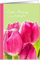 To my Goddaughter, Easter Blessings, Christian card, tulip card