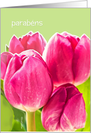 Happy Birthday in Portuguese, parabns, bright pink tulips card