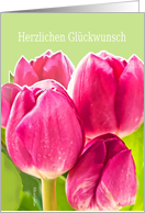 happy birthday in German, herzlichen Glckwunsch, pink tulips card