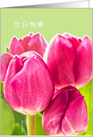 happy birthday in Chinese (traditional), pink tulips card