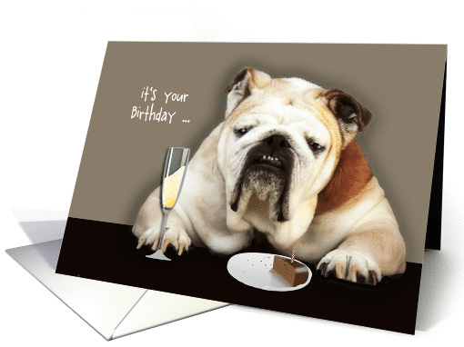 getting older, humor birthday card, funny bulldog card (917471)