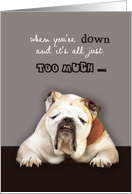 when you are down, christian encouragement card, humor, dog card