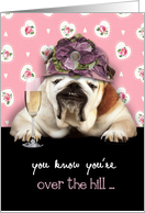 Happy Birthday for Her, Over the Hill, Humor Birthday Card, Bulldog card