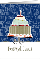 Penblwydd Hapus, happy birthday in Welsh, cake & candle card