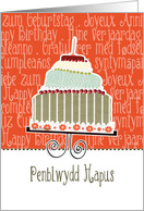 Penblwydd Hapus, happy birthday in Welsh, cake & candle card