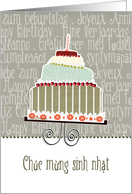 Chc mừng sinh nhật, happy birthday in Vietnamese, cake & candle card