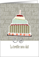 L breithe sona duit, happy birthday in Irish Gaelic, cake & candle card