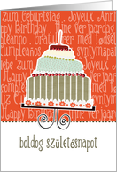 boldog szletsnapot, happy birthday in Hungarian, cake & candle card