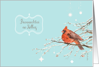 Merry Christmas in Irish Gaelic, red cardinal bird, watercolor card