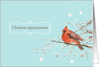 Merry Christmas in Belarusian, red cardinal bird, watercolor card