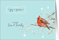Merry Christmas to my son & family, red cardinal, watercolor card