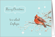 merry Christmas to a valued employee, business card, cardinal card