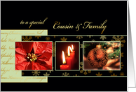 Merry Christmas to my cousin & family, poinsettia, gold effect card