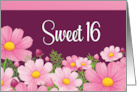 Sweet 16 Birthday With Pink Daisies card