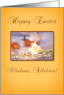Happy Easter Alleluia! card