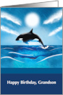 Grandson Birthday with Orca Whale in Ocean card