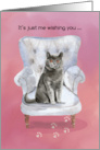 Valentine from Cat Sitting on Chair card