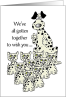 Birthday from Group with Humorous Dalmatian Dog and Cats card