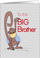 Big Brother Congratulations with Cute Monkey on Red and Gray card