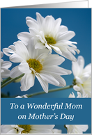 Mom on Mothers Day with White Daisies on Blue Sky card