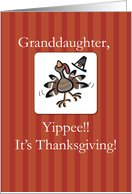 Granddaughter Thanksgiving Happy Turkey Religious Blessings card