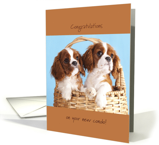 Puppy Cavalier King Charles Congratulations on Condo card (1289358)
