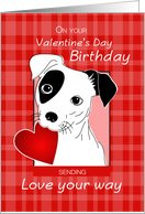 Birthday on Valentine’s Day Jack Russell Terrier Dog, Heart, Funny card
