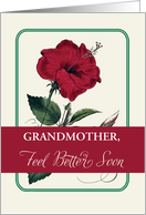 Any Relation Customizable Feel Better Grandmother Flower Religious card