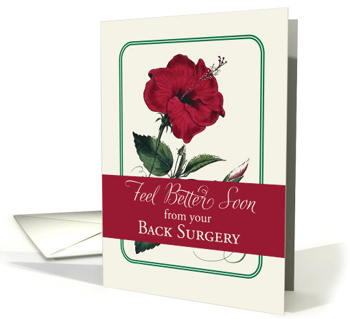 Back Surgery Feel Better Red Hibiscus Flower Religious card (1323704)