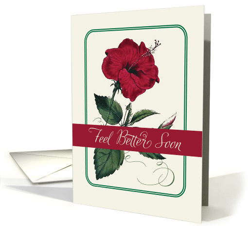 Clinical Depression Feel Better Red Hibiscus Flower Religious card