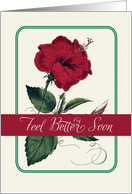 Clinical Depression Feel Better Red Hibiscus Flower Religious card