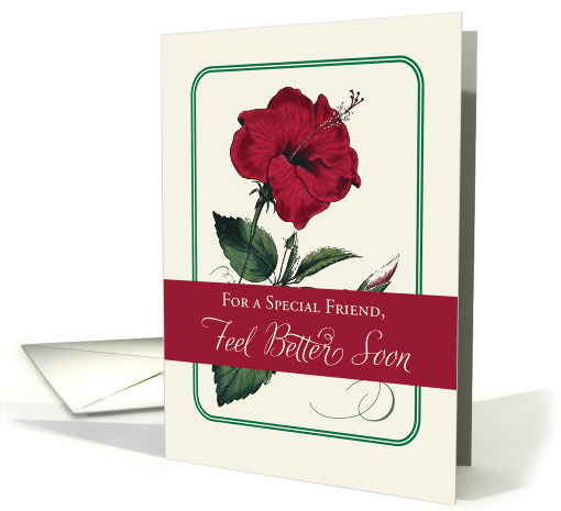 For Friend Feel Better Red Hibiscus Flower Religious card (1324076)