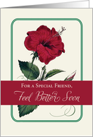 For Friend Feel Better Red Hibiscus Flower Religious card