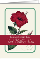 For Secret Pal Feel Better Red Hibiscus Flower Religious card