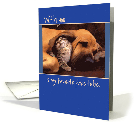 Anniversary Dog and Kitten card (1353534)