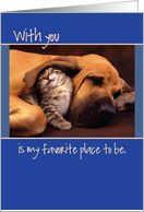Anniversary Dog and Kitten card