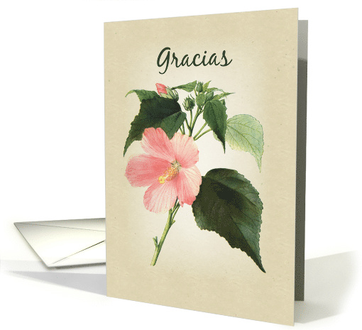 Hibiscus Thank You Spanish card (1379154)